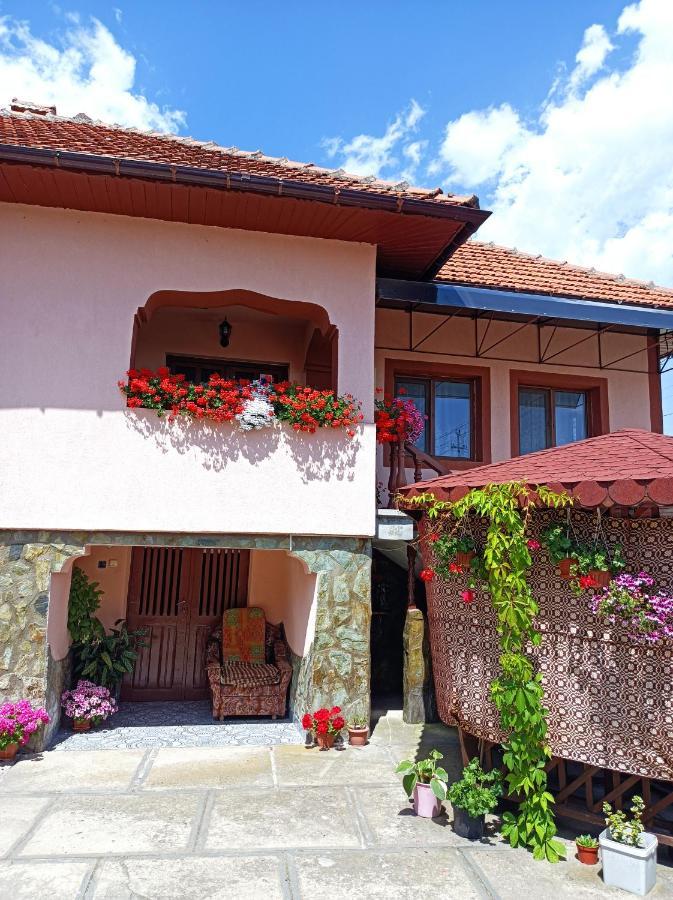 Pensiunea Ileana Novaci-Străini Exterior foto