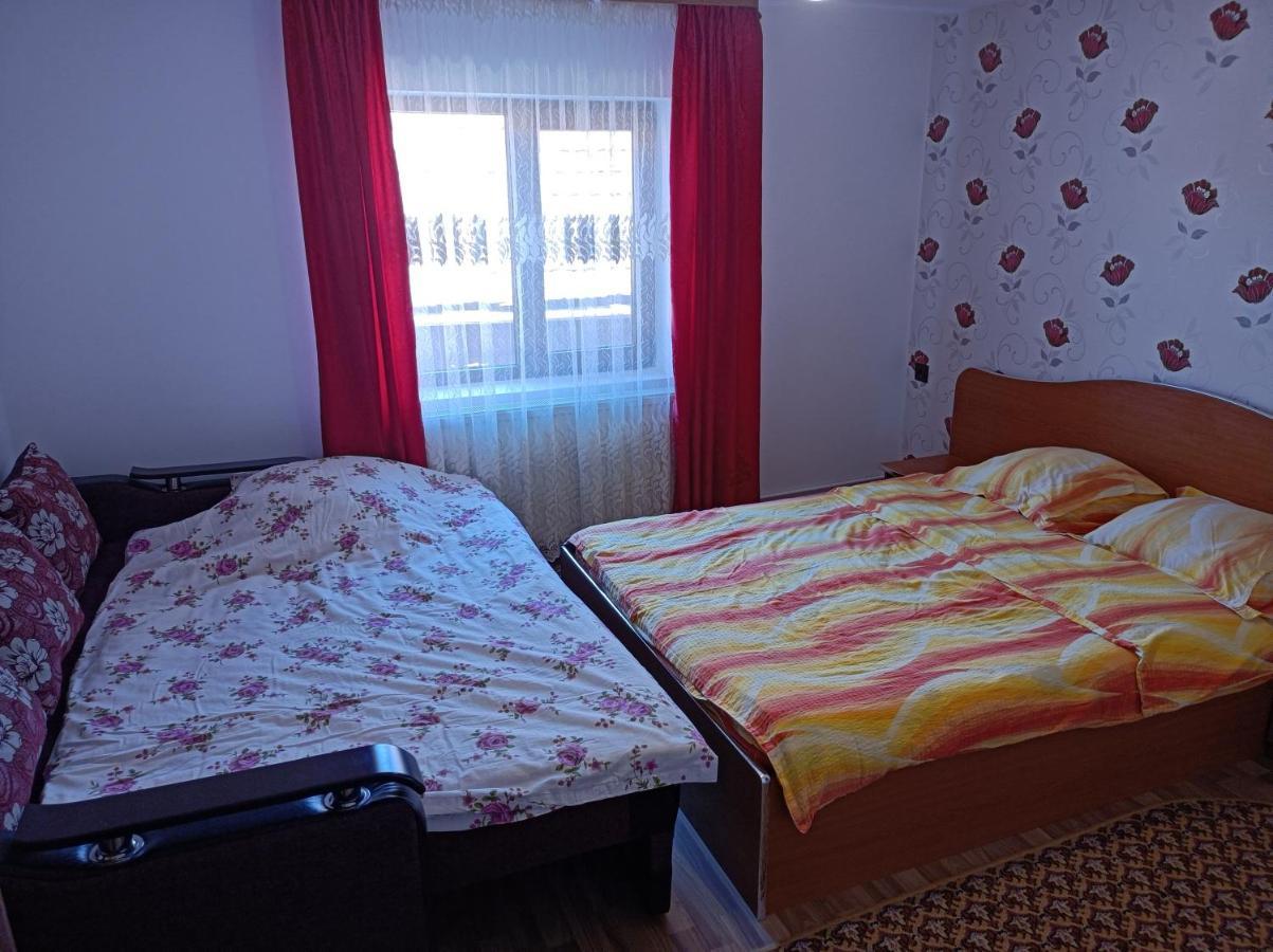 Pensiunea Ileana Novaci-Străini Exterior foto