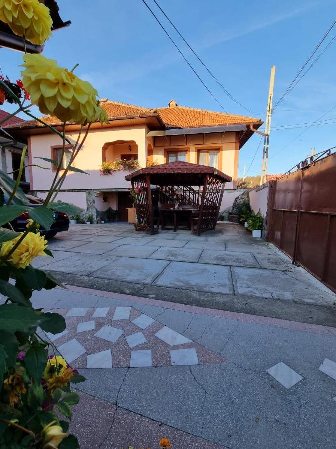 Pensiunea Ileana Novaci-Străini Exterior foto
