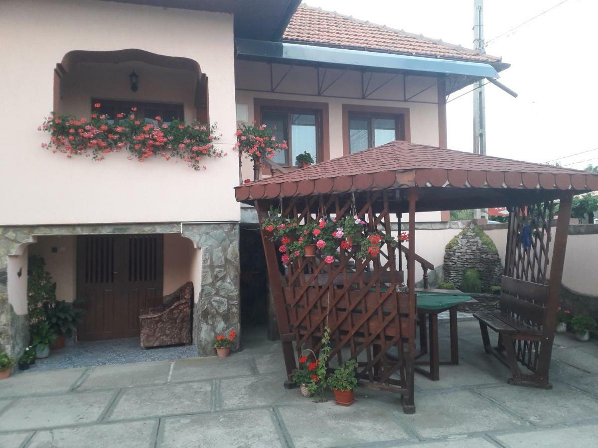 Pensiunea Ileana Novaci-Străini Exterior foto