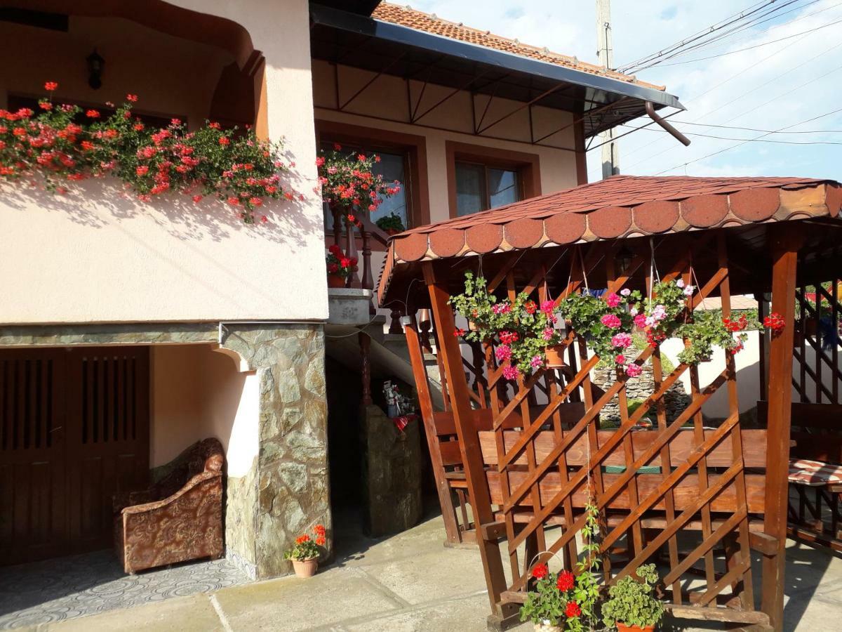 Pensiunea Ileana Novaci-Străini Exterior foto